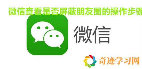 微信怎么查看是否屏蔽朋友圈 微信查看是否屏蔽朋友圈的操作步骤