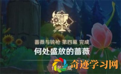 何处盛放的蔷薇任务完成方法推荐