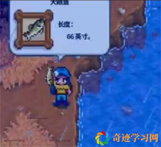 星露谷物语大眼鱼在哪里钓 星露谷物语大眼鱼钓取攻略